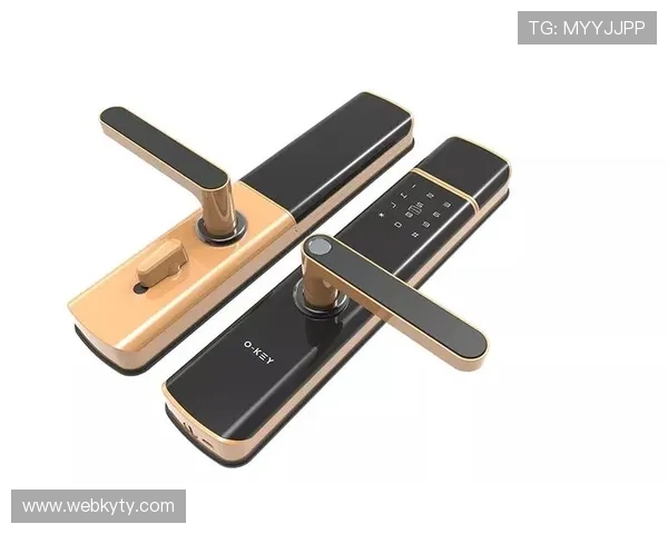 开云集团官方网站网址详细解析与访问指南推荐