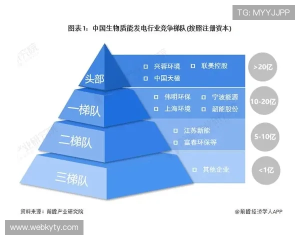 开云集团未来发展趋势与行业竞争格局变化的深度分析