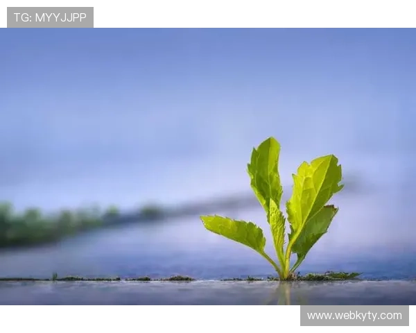 下载开运体育官网app享受专业的风水命理分析服务，提升生活品质实现财运与健康双提升